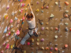 inglesport climbing wall